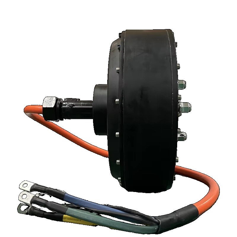 Kit di Conversione Motore Elet - Qs Motor 273 8000W Hub Motor recensione e prezzo