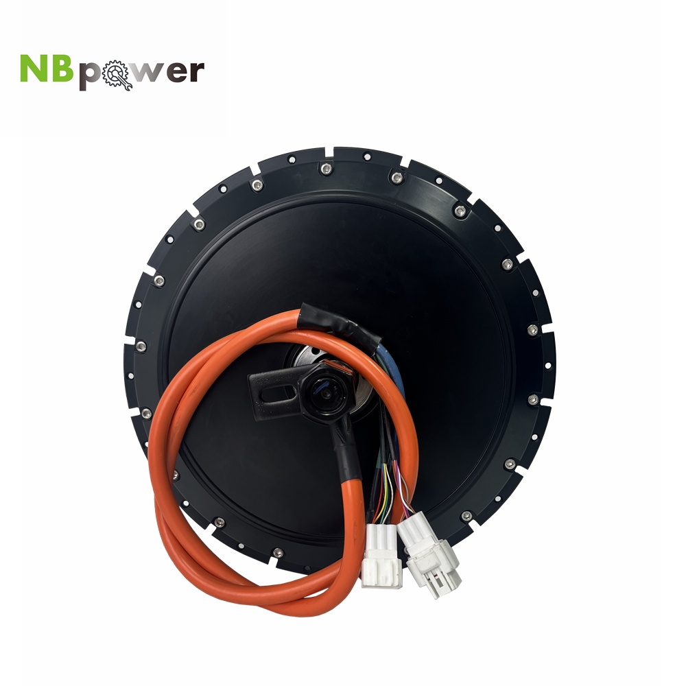 Motore Mozzo Posteriore Elettr - Qs Motor 273 8000W Hub Motor recensione e prezzo